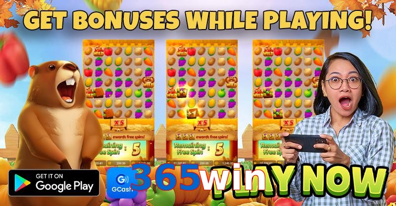 365win