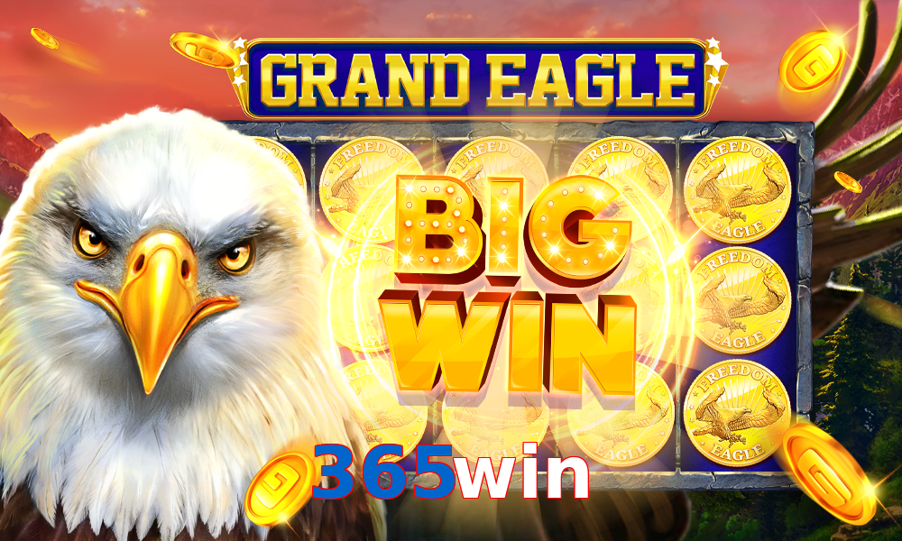 365win