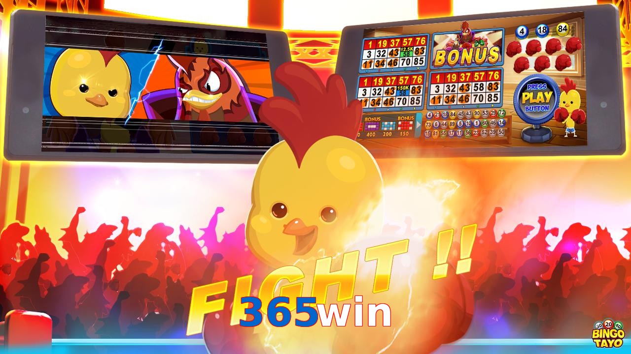 365win