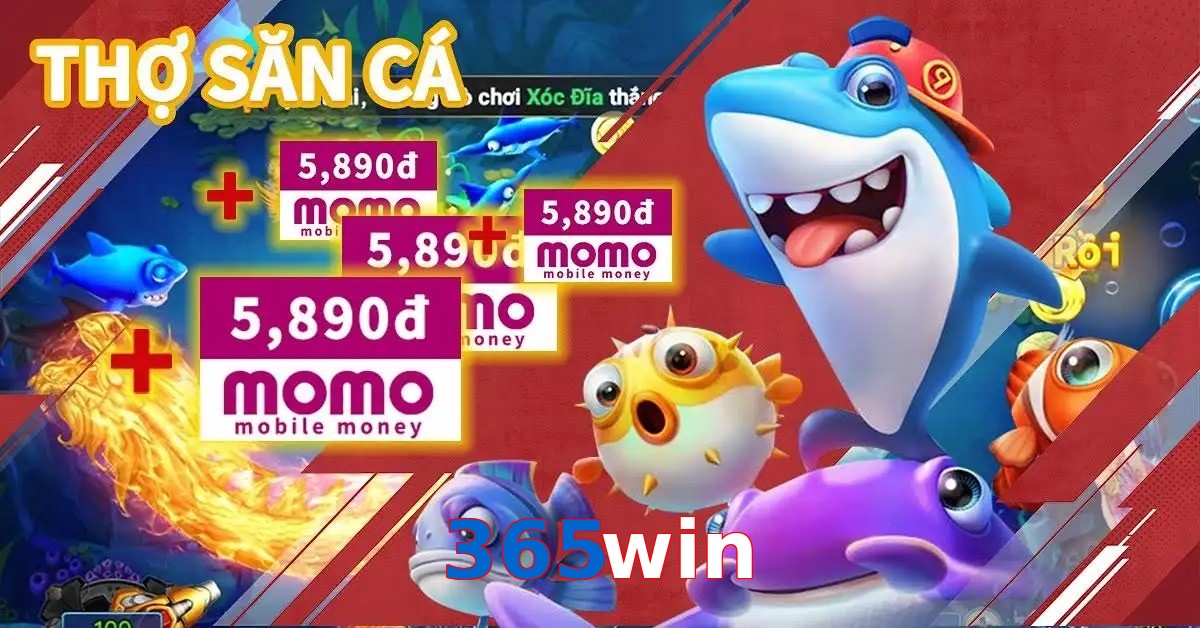 365win