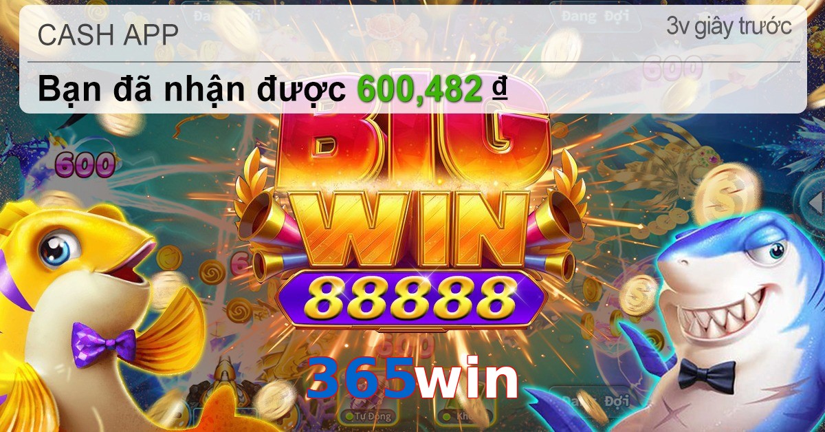 365win